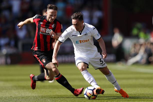 在体育领域 在体育领域